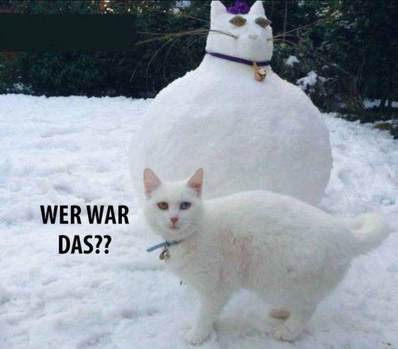 Halt! Erst die 26 lustigsten Fails der Woche durchscrollen – dann alles andere\nSie weiss es!!