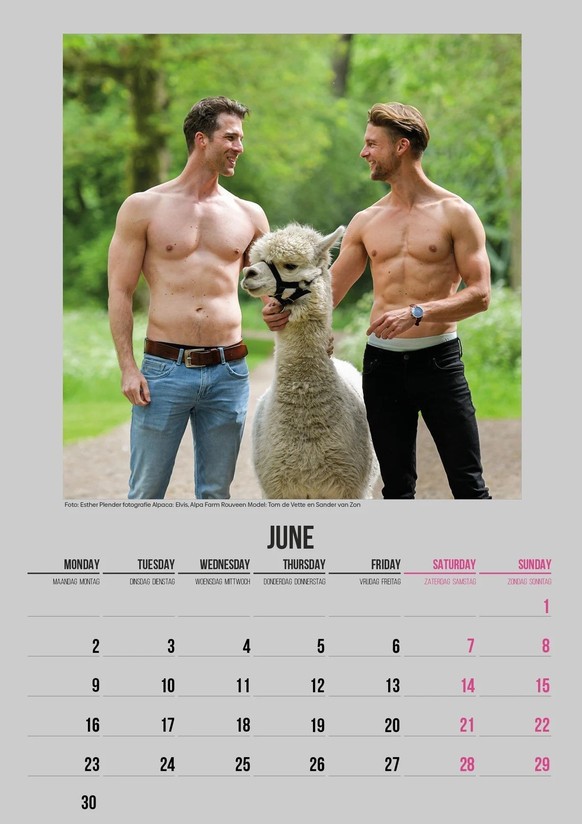 Alpaca &amp; Hunk Kalender 2025 https://www.etsy.com/ch/listing/1810387215/alpaka-hunk-kalender-2025?gpla=1&amp;gao=1&amp;&amp;utm_source=google&amp;utm_medium=cpc&amp;utm_campaign=shopping_ch_de_ch_- ...