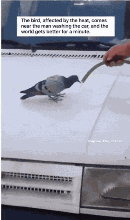 Animiertes GIF
