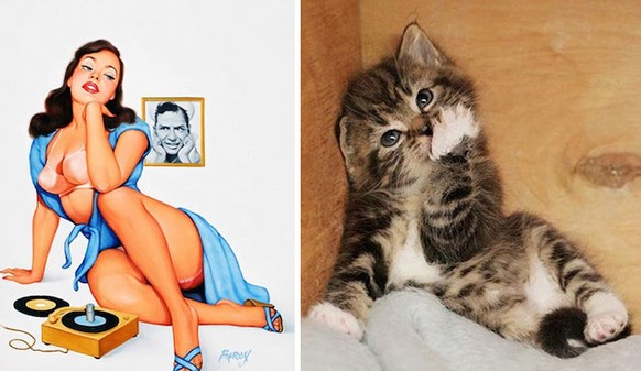 Katzen als Pin-Up-Girls