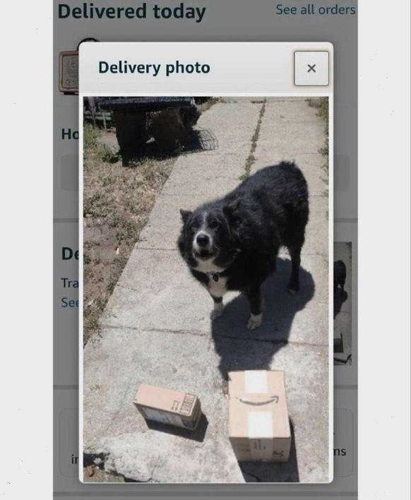 cute news tier hund

https://www.reddit.com/r/AnimalsBeingConfused/comments/1f019h6/delivery_inspected_and_approved/