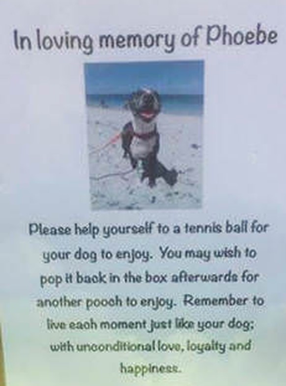 «In Erinnerung an Phoebe. Nimm einen Tennisball für deinen Hund zum Spielen, du kannst ihn nachher wieder zurücklegen. Erinnere dich daran, jeden Moment wie dein Hund zu leben: Mit bedingungsloser Lie ...