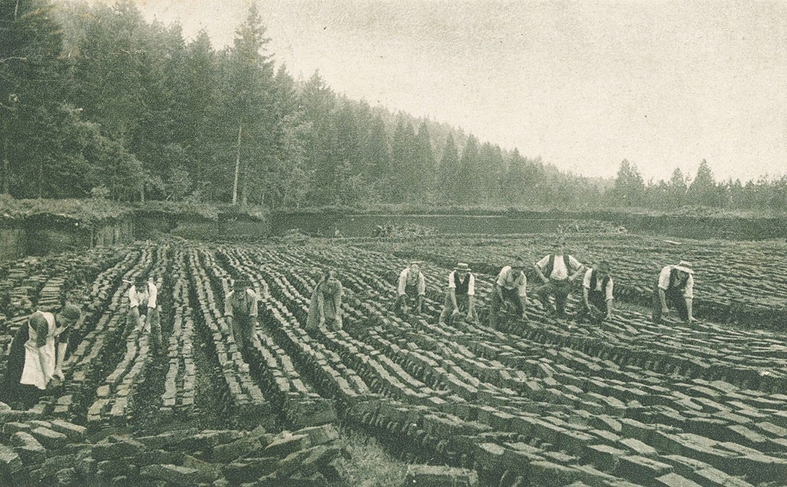 Peat mining around 1920. https://ba.e-pics.ethz.ch/catalog/ETHBIB.Bildarchiv/r/986555