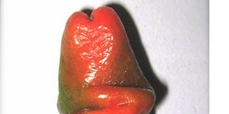 Ich kam nach einer kurzen Abwesenheit zurück und meine Chefinnen hatten folgende Stories für mich: Penis-Peperoni und Twerk-Sextoys. Ich liebe meinen Job