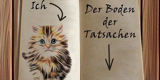 «Liebes Tagebuch, heute bin ich auf dem Boden der Tatsachen gelandet!»