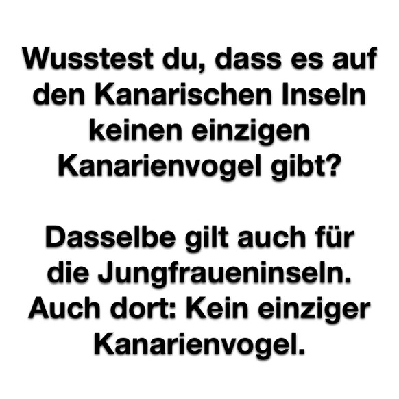 Picdump #22 – Schnapszahl, olé! \n😊