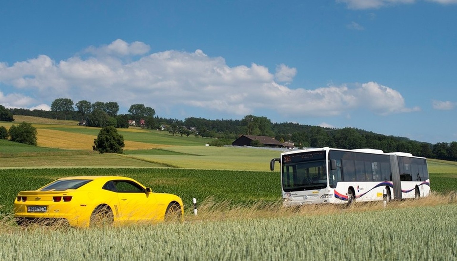 Die neuen Postautos im Tarifverbund A-Welle sollen wieder gelb statt weiss gespritzt sein.