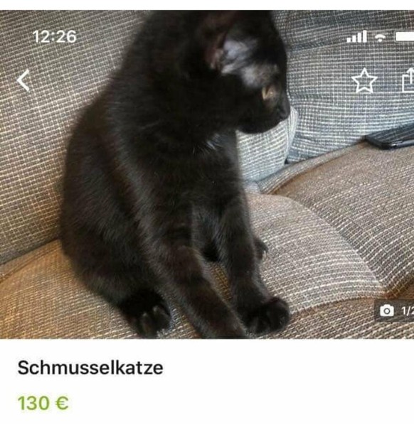 Keine Sorge, der PICDUMP bringt immer Glück! Hopp!\nIch will auch eine ...
