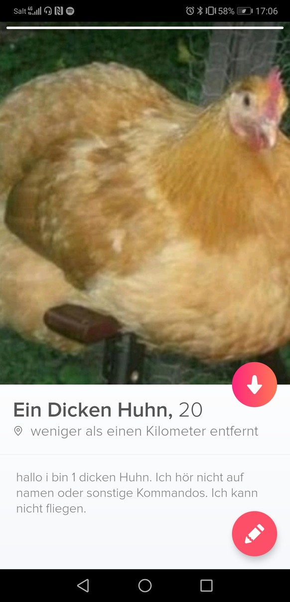Leute, PICDUMP!
1 dicken Huhn ist jetzt single imfall