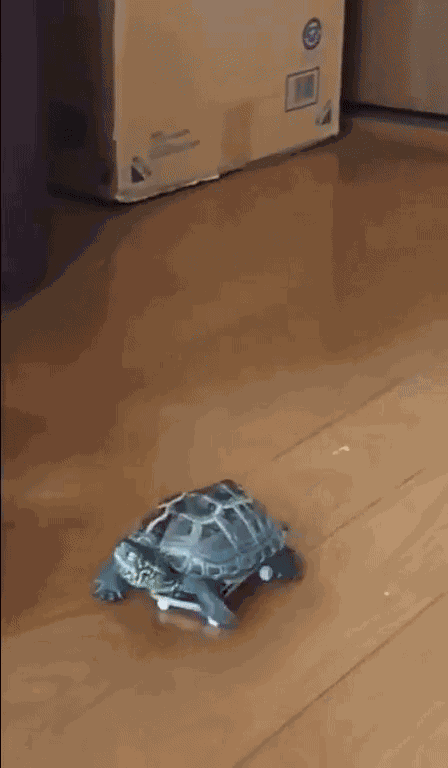 Animiertes GIF