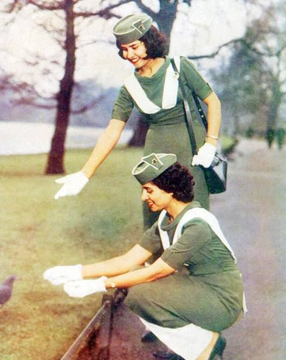 https://twitter.com/pepezorrojb pia pakistan international airline stewardess flight attendant flugbegleiterin retro vintage fliegen