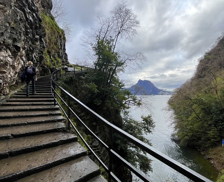 Lugano Gandria Olivenweg Rauszeit Frühlingswanderungen
