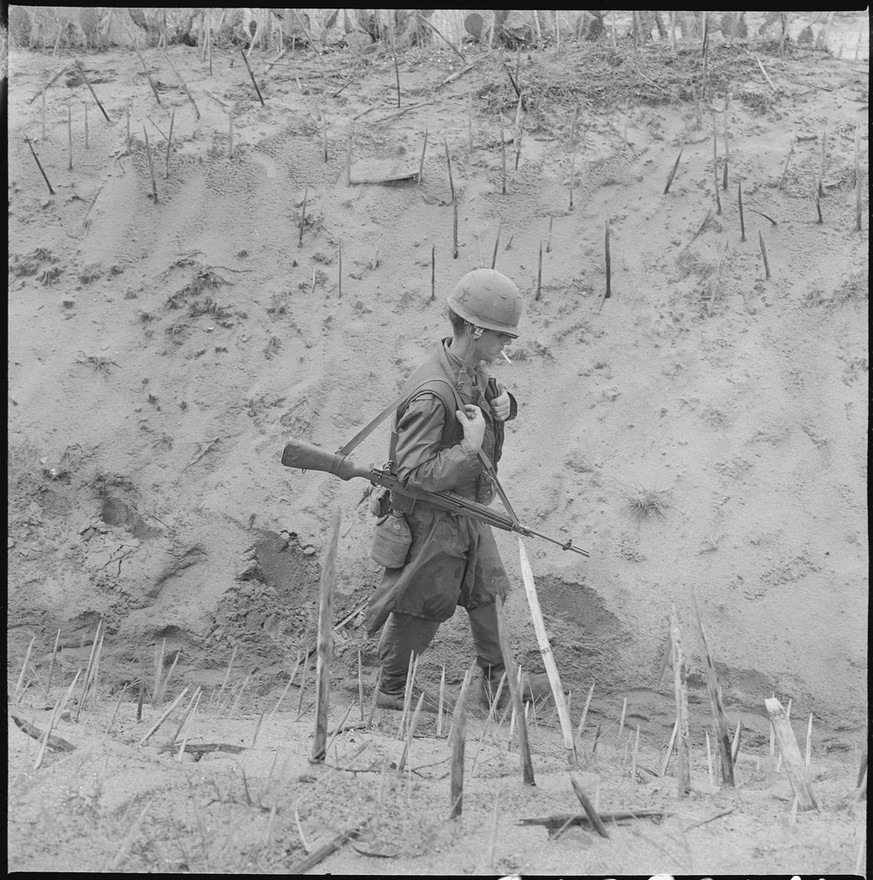 Punji sticks used during the Vietnam War, photo from 1966
https://en.wikipedia.org/wiki/Punji_stick#/media/File:Vietnam....Marines_of_Company_H,_2nd_Battalion,_4th_Regiment,_walk_through_a_punji-stake ...