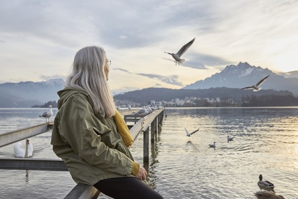 [Symbolic Image, Staged Picture] An elderly woman looks at sea gulls at Lake Lucerne in Lucerne, Switzerland, on November 22, 2016. In the background is Mount Pilatus to the right. (KEYSTONE/Christof  ...
