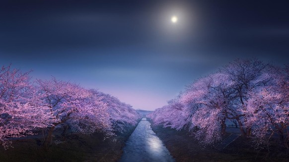 Nominierte für Astronomy Photographer of the Year 2022: Riverside of Funakawa in spring by Takanobu Kurosaki, Astronomy Photographer of the Year 2022, People & Space.
