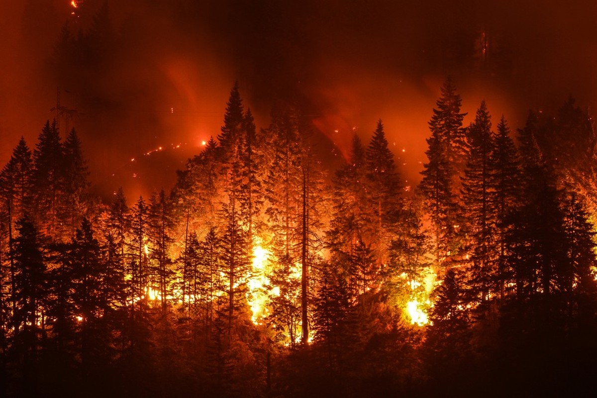 Waldbrand in Oregon, USA.