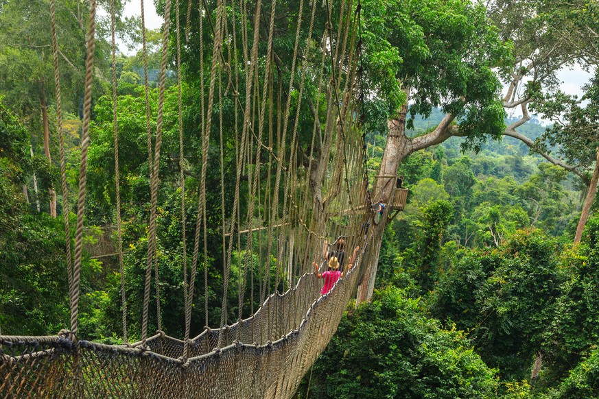 Canopy Walk, Kakum National Park, Ghana