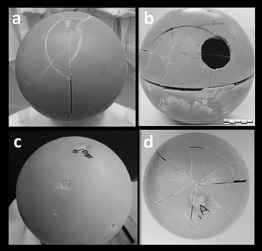 Mit Modellen testeten die Paläoanthropologen , wie es zu der Verletzung am fossilen Schädel kam. a und b: Holzschläger; c: Vulkanstein, d: Sturz aus 10 Metern Höhe