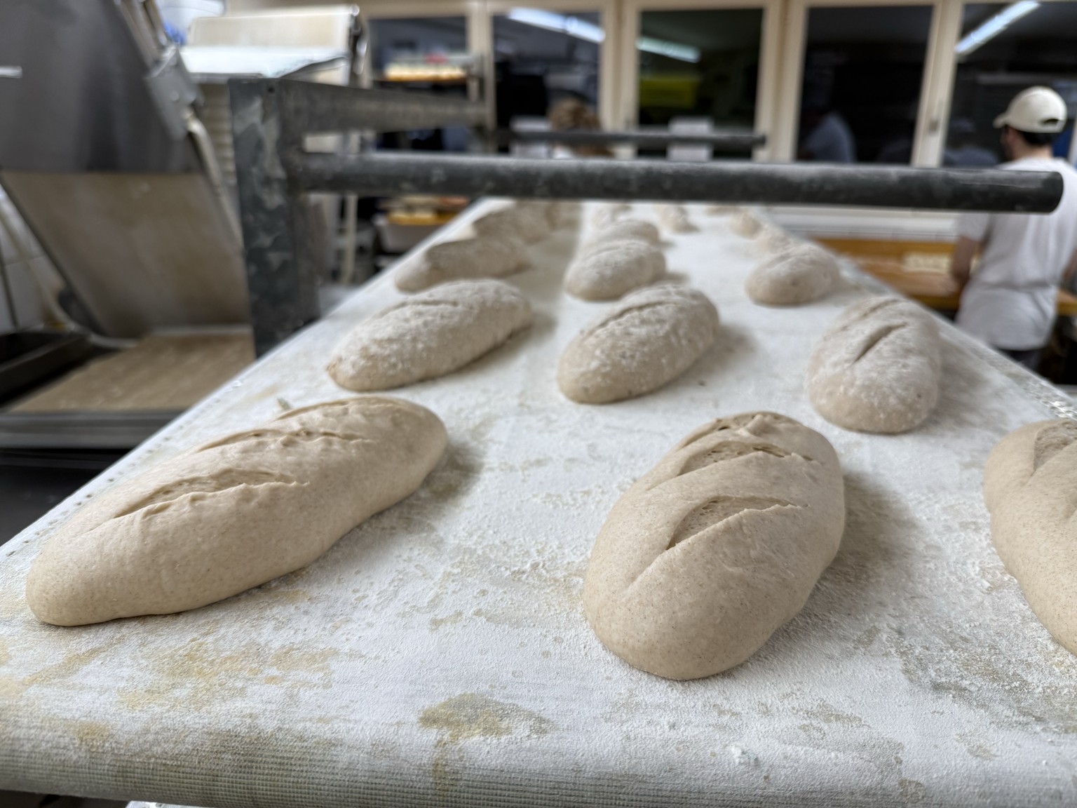 Die Brote sind bereit zum Backen.