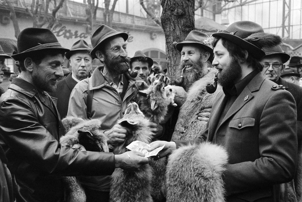 The Central Swiss Fur and Coat Market in Lucerne, taken on 24 February 1976. (KEYSTONE/PHOTOPRESS-ARCHIV/Str)

Der Zentralschweizer Pelz- und Fellmarkt in Luzern, aufgenommen am 24. Februar 1976. (KEY ...
