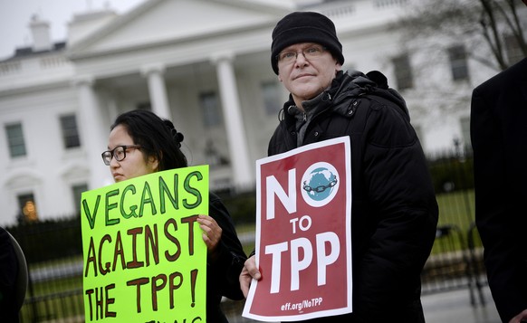 «Nein zum TPP» – Demonstranten vor dem Weissen Haus.&nbsp;