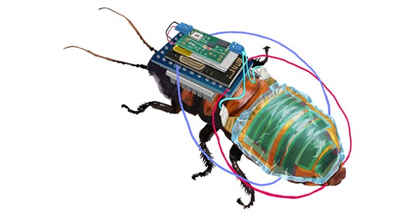 Robobug
