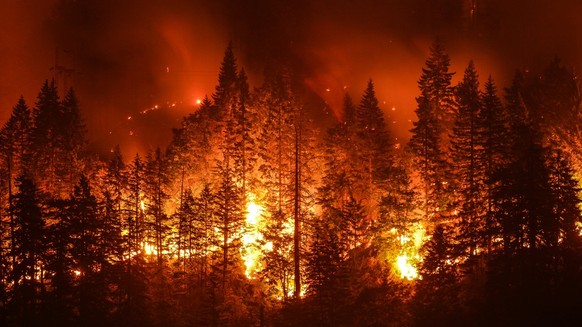 Waldbrand in Oregon, USA.