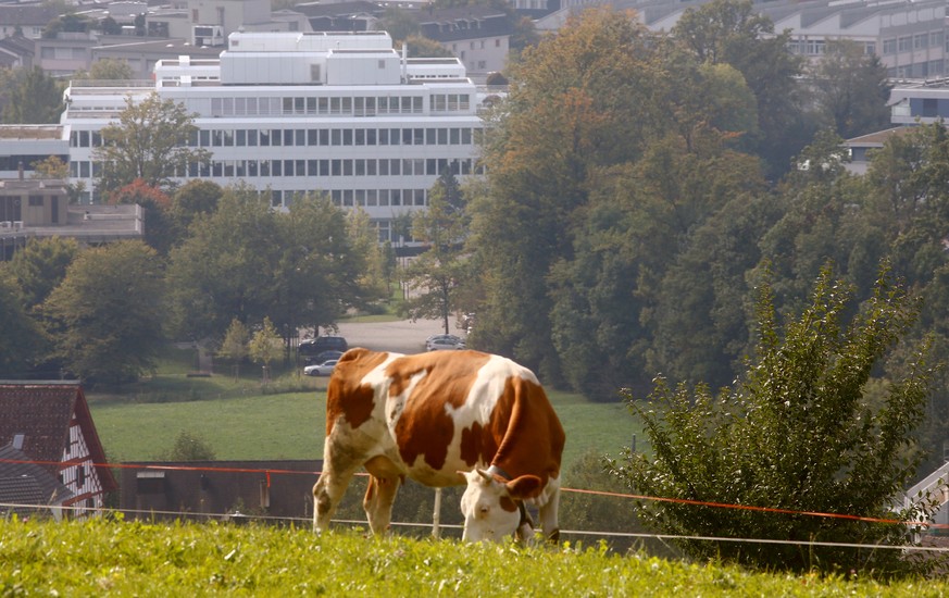 The headquarters of commodities trader Glencore is seen behind a cow in Baar, Switzerland, September 30, 2015. REUTERS/Arnd Wiegmann/File Photo GLOBAL BUSINESS WEEK AHEAD PACKAGE - SEARCH &quot;BUSINE ...