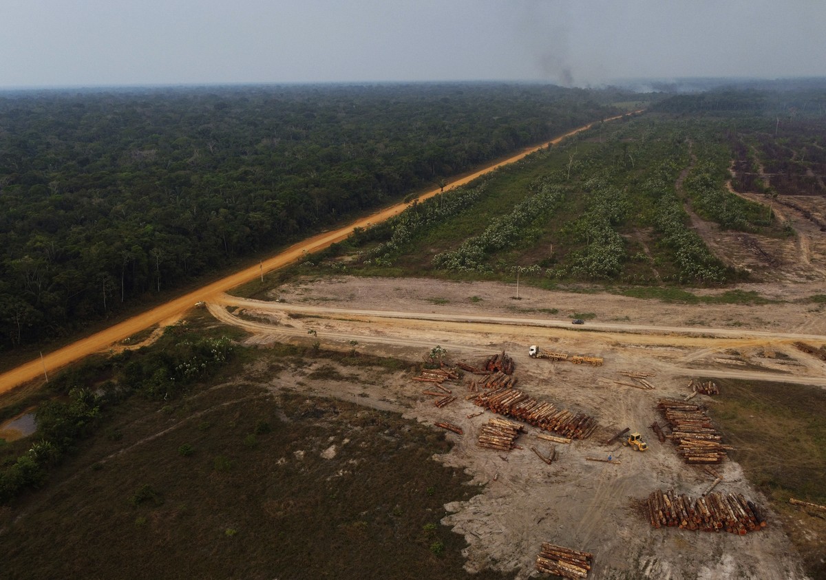 FILE - An area of forest on fire near a logging area in the Transamazonica highway region, in the municipality of Humaita, Amazonas state, Brazil, Sept. 17, 2022. In a victory speech Sunday, Oct. 30,  ...