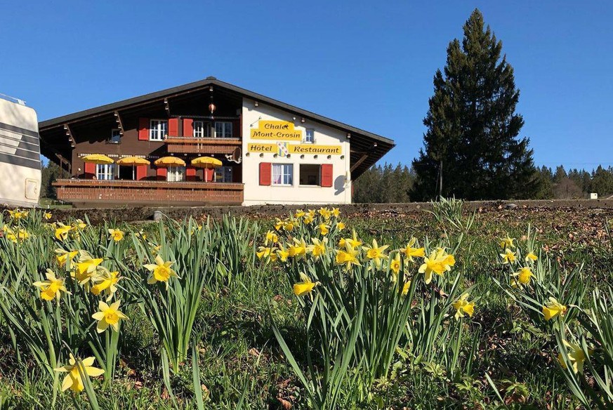 Rauszeit Narzissenwanderung Berner Jura Mont Crosin