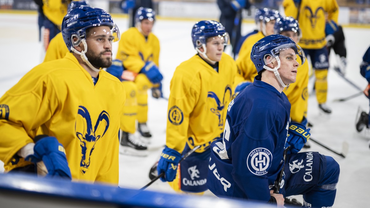 Für Meister Fribourg-Gottéron, Servette Genf und den HC Davos beginnt mit den ersten Begegnungen in der Champions Hockey