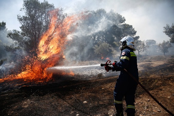 epaselect epa10081514 A firefighter tries to put out a forest fire that broke out at the north-east suburb of Pallini, near Athens, Greece, 20 July 2022. Raging wildfires continued to burn throughout  ...