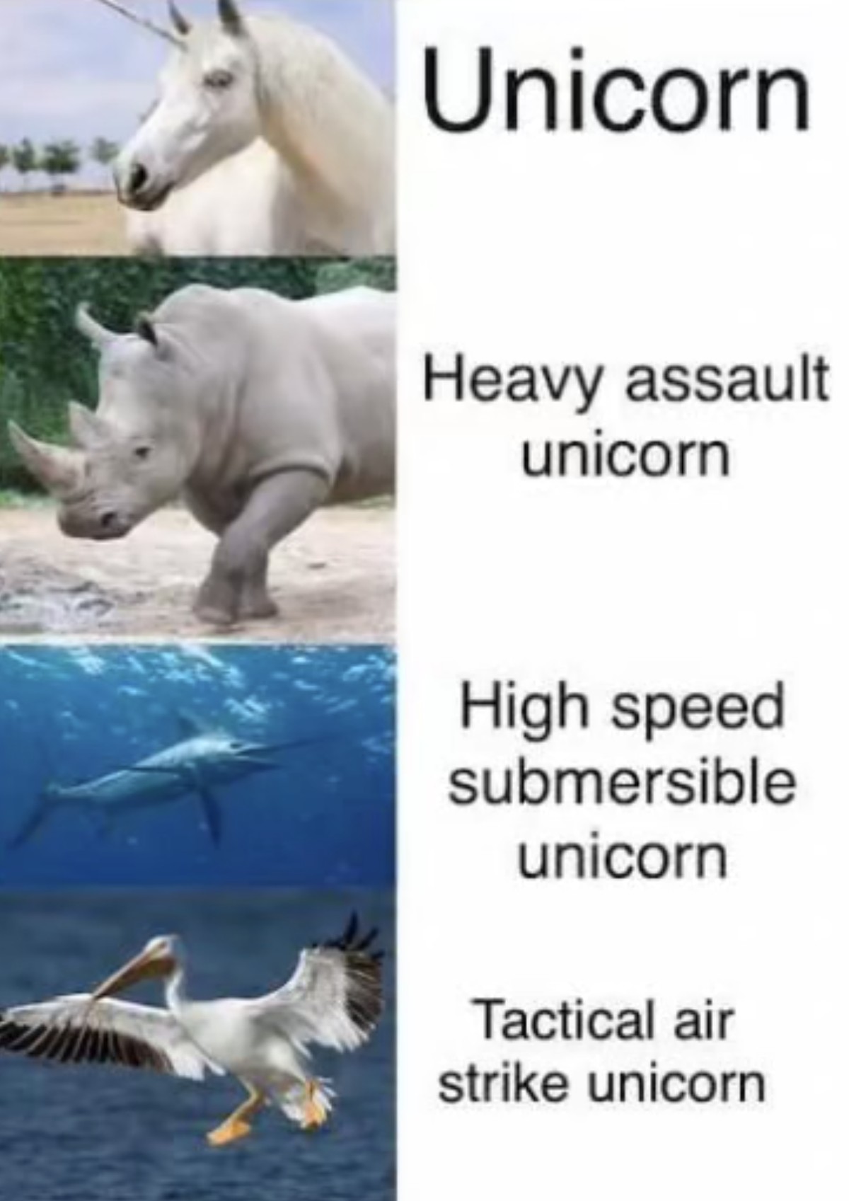Picdump 138 вЂ“ Memes ohne Bla Bla\nEinhГ¶rner sind so vielfГ¤ltig рџ¤Ј