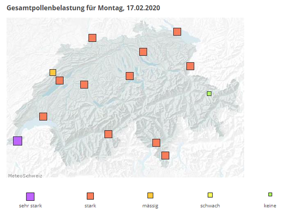 An vielen Messstationen ist die Pollenbelastung bereits stark (rot).