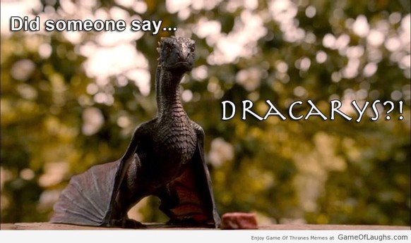Mädchen will Drachen trainieren und besticht Regierung: So antwortet die Premierministerin
Dracarys