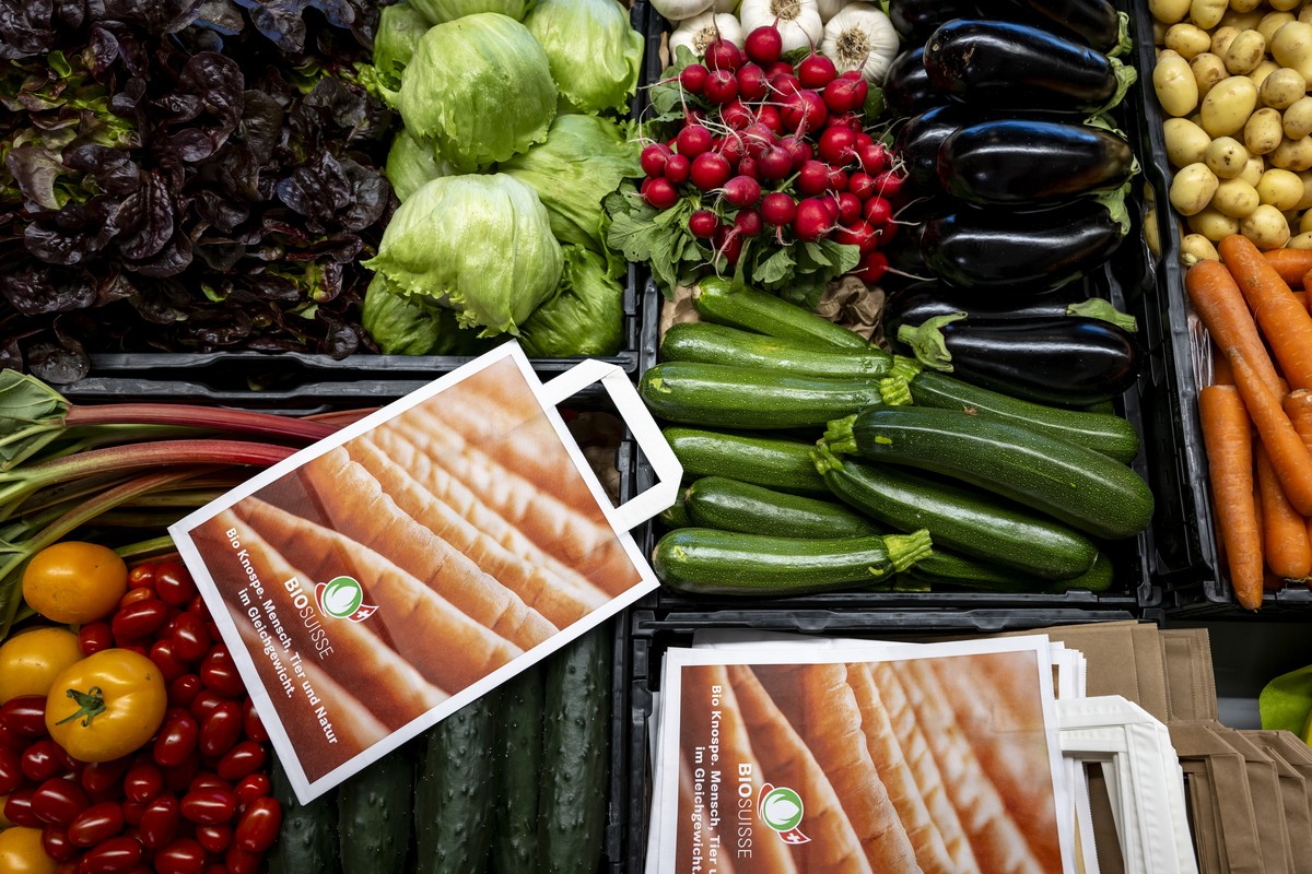 Des legumes bio photographies avec un logo sur un sac papier lors de la conference de presse annuelle de Bio Suisse le mercredi 19 juin 2024 a Chietres. (KEYSTONE/Jean-Christophe Bott)