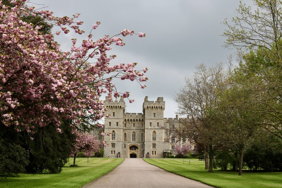 1 May 2023 - Windsor UK: Rear entrance of Windsor Castle in spring 1 May 2023 - Windsor UK: Rear entrance of Windsor Castle in spring with cherry blossom visible and grey sky above. High quality photo ...