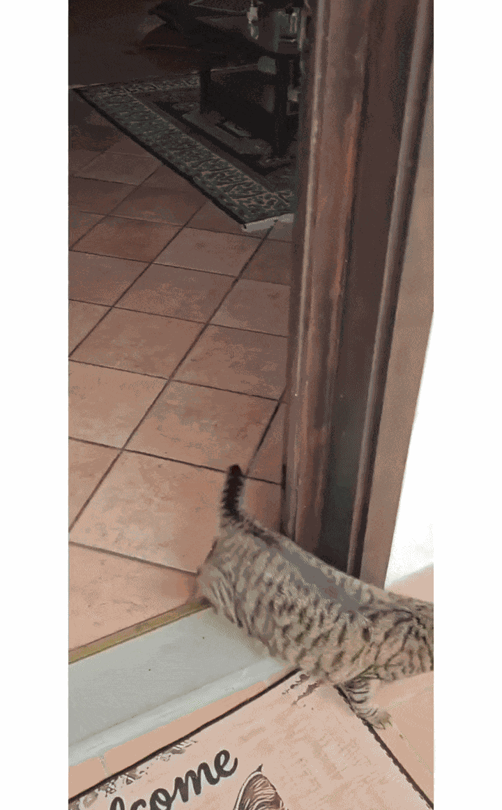 Animiertes GIF