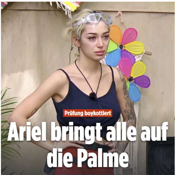 Dschungelcamp 2026: Ariel in den Schlagzeilen