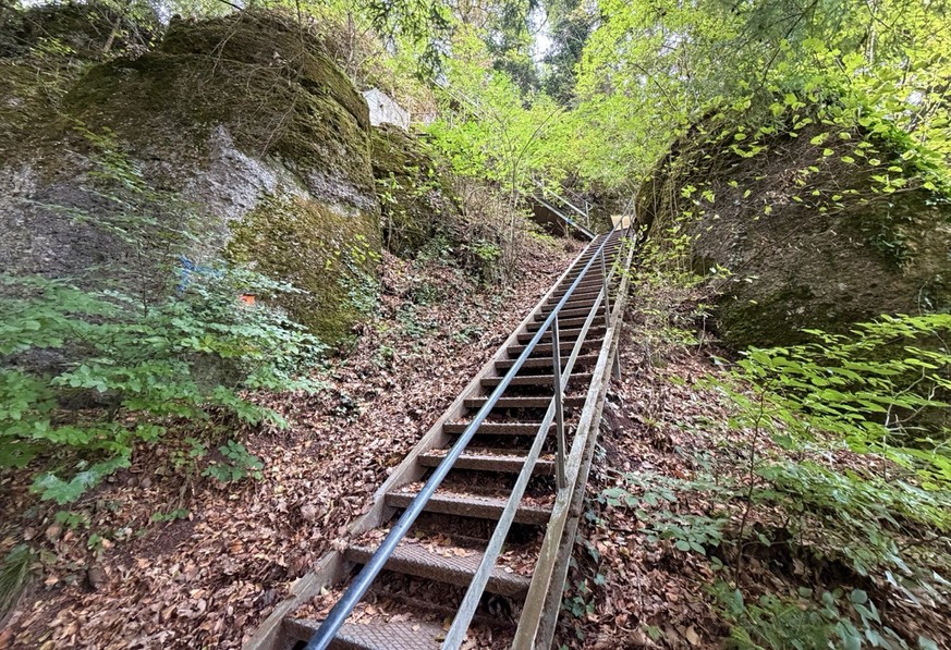 Mont Pèlerin Vevey Lavaux Weinterrassen Epesse Dézaley