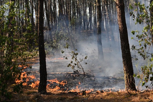 A fire burns in a forest near Claouey, during wildfires in southwestern France, Wednesday, July 29, 2026. (AP Photo/Emma Da Silva)
France Wildfires