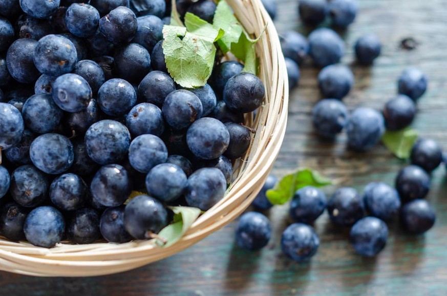 Heidelbeeren, Blaubeeren (Symbolbild)