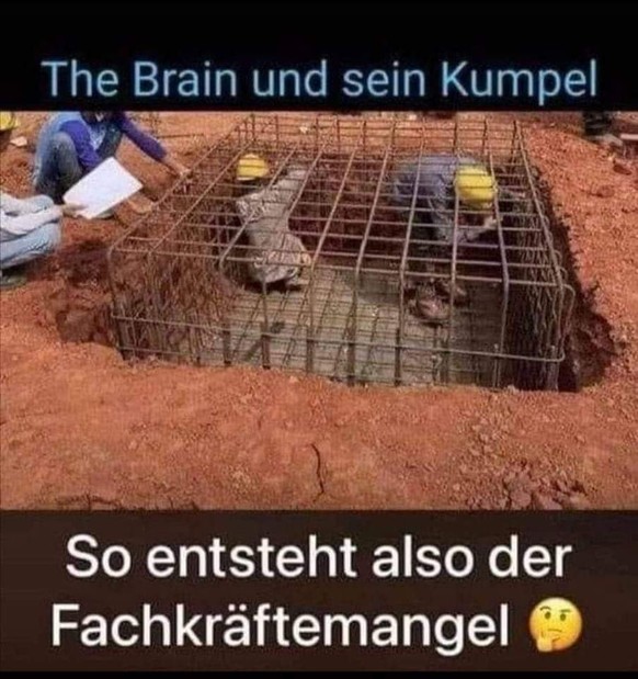 Picdump 25 тАУ die Memes sind serviert! ЁЯд╡тАНтЩВя╕П\nЁЯШЬ