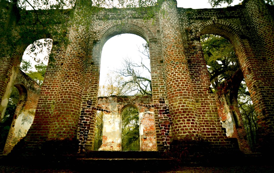 Auf diesem Foto aus South Carolina ist der Tarneffekt besonders gut gelungen.