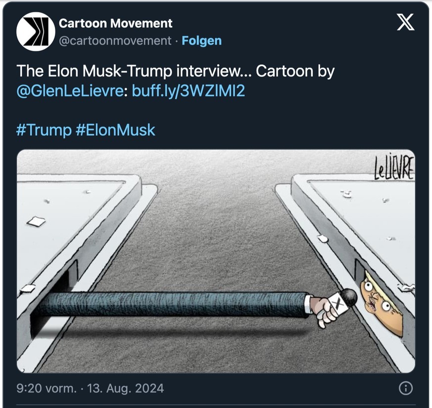 Karikatur zu Donald Trump und Elon Musk