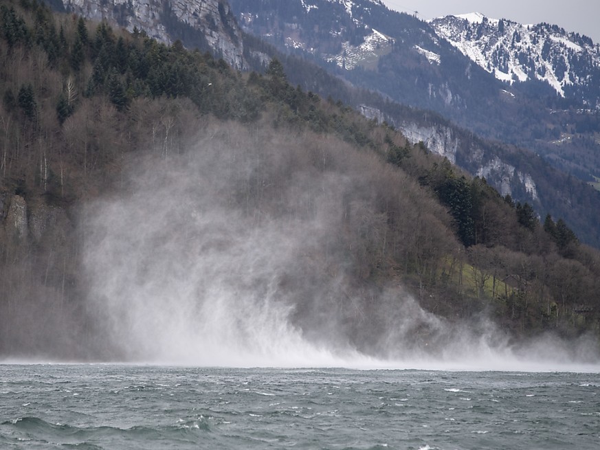 Der Sturm &quot;Sabine&quot; fegt mit hohen Windgeschwindigkeit über die Schweiz. Zugleich sorgt ein Föhnsturm für hohe Wellen auf den Schweizer Seen. (Archivbild)