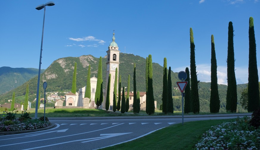 Collina d'Oro, Bild: Shutterstock