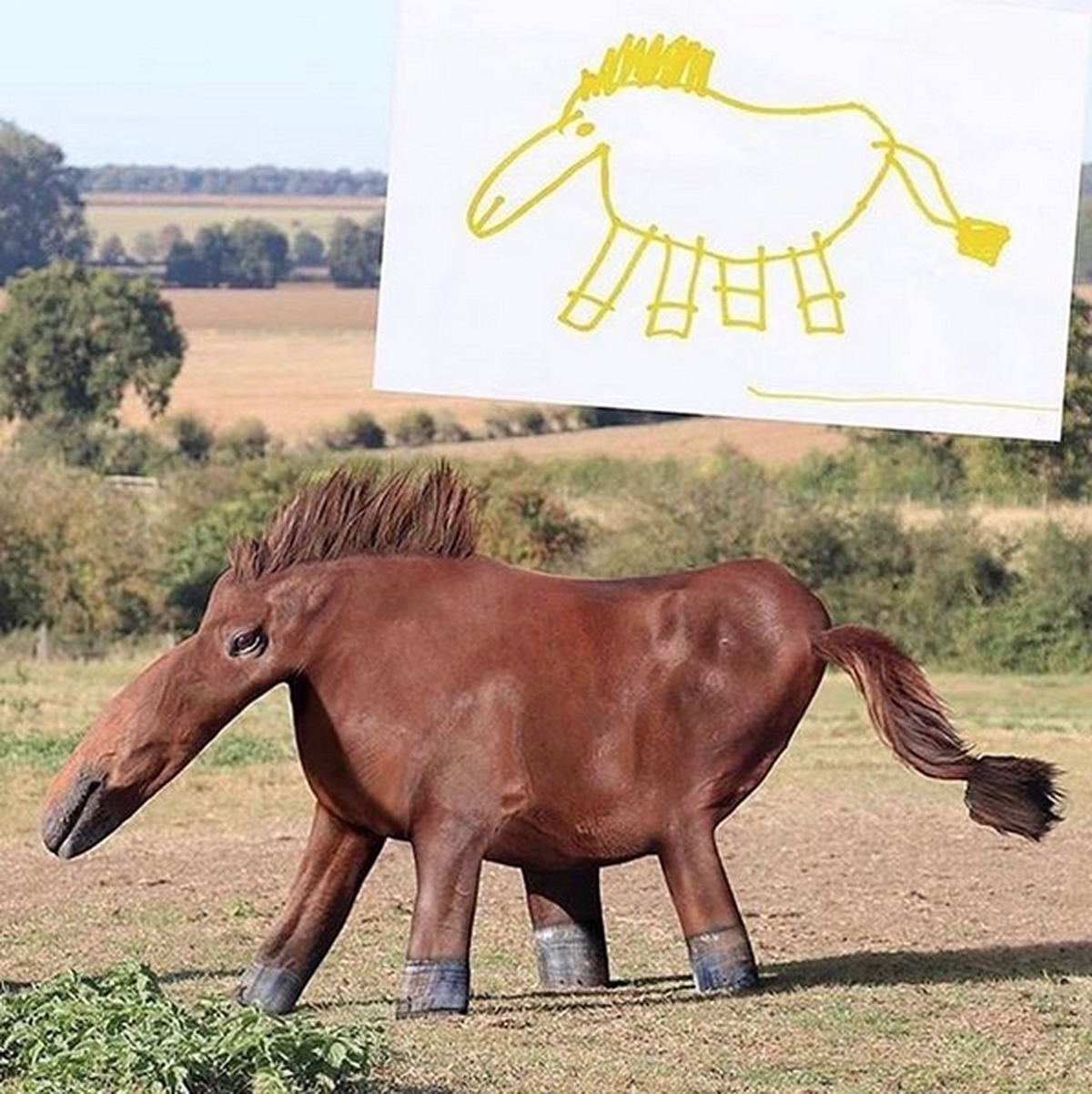 PICDUMP! Chumm au!
Für Pictionary Talente wie mich.