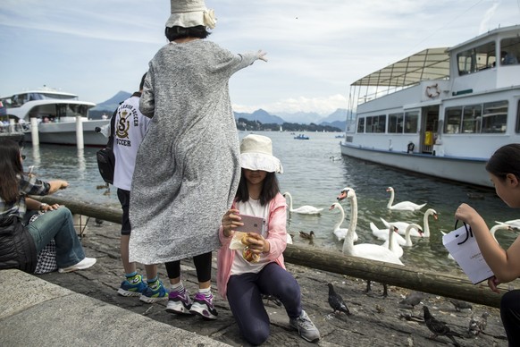 Tourists feed swans on lake Lucerne and take selfies, in Lucerne, Switzerland, on August 15, 2017. The city of Lucerne counts between 8 and 10 million day visitors a year. (KEYSTONE/Alexandra Wey) 

T ...