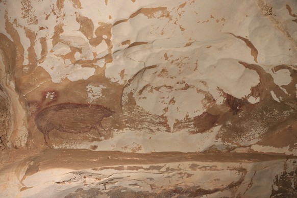 epa08936515 An undated handout photo made available byAustralia&#039;s Griffith University shows the painting of a wild pig and two hand prints (L) dated at least 45,500 years, recently discovered at  ...